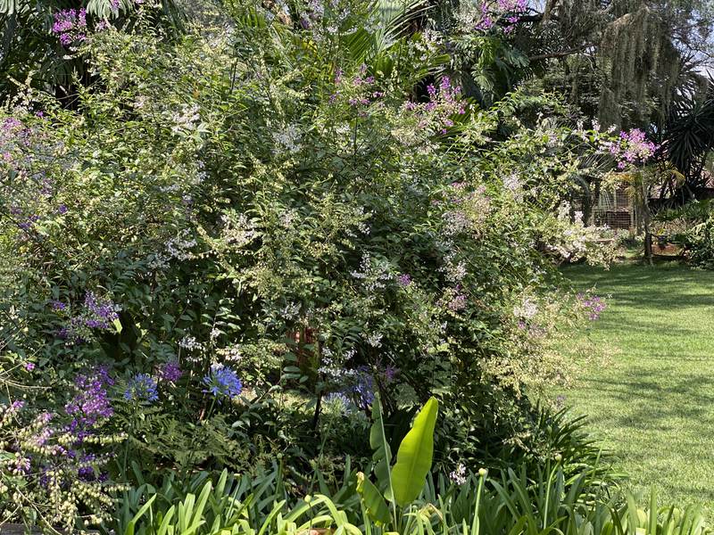 Manor on Lower Kabete - Gallery 52